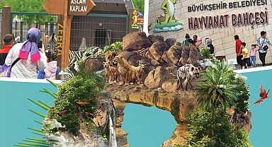 Kayseri'de hayvanat bahçesi ücretsiz