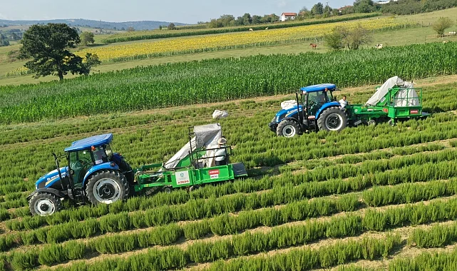 Kocaeli'de kırsal üretimde Büyükşehir'in izi var
