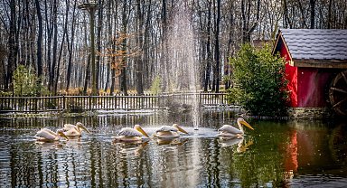 Kocaeli'de Ormanya ve Kuzuyayla ziyaretçilere hazır