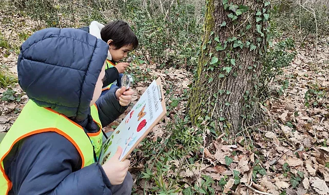 Lokomotif'in minikleri Ormanya'da keşfetti