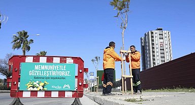 Mersin Büyükşehir'den 'Ağaçlandırma Kampanyası'