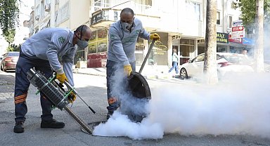 Mersin'de haşere alarmı