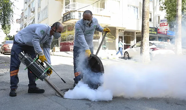 Mersin'de haşere alarmı