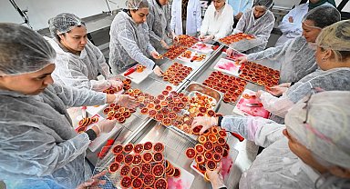 Mersinli kadınlar kan portakalını geleceğe taşıyor