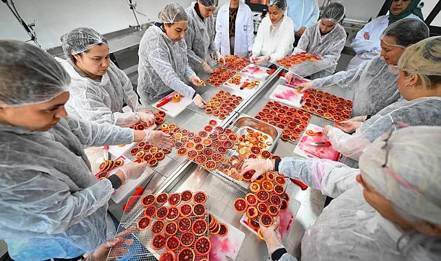 Mersinli kadınlar kan portakalını geleceğe taşıyor