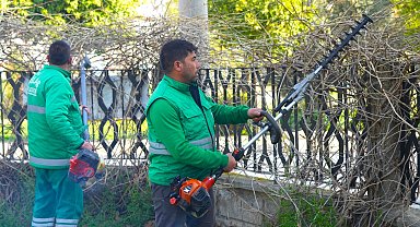 Muğla Milas'ta ilkbahar bakımları sürüyor