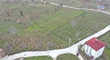 Ordu Büyükşehir'den Kumru'da yol seferberliği