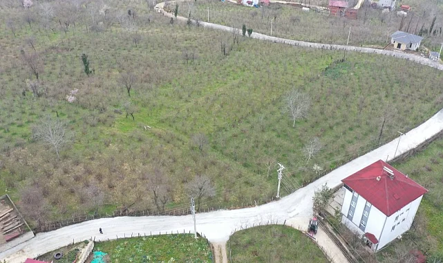 Ordu Büyükşehir'den Kumru'da yol seferberliği