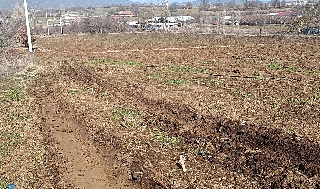 Pazaryeri'nde 'yüksek gerilim' tarım arazilerini zora soktu!
