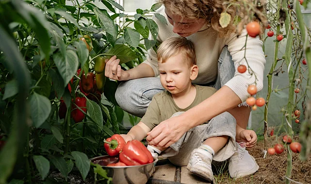Sakarya'da çocuklar tarımın kaşifi olacak