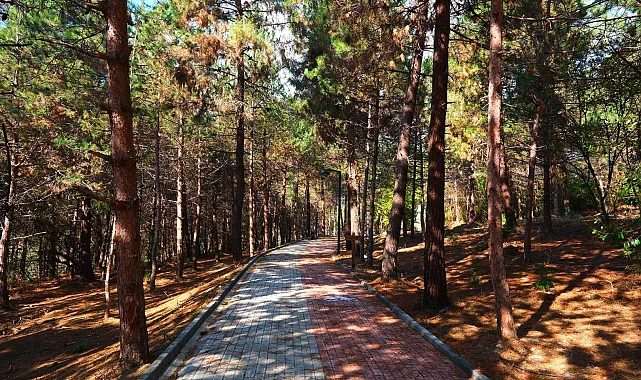 Sakaryalılar baharı 'Huzur Koridoru'nda koşarak karşılayacak