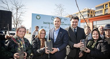 Üreticilere incir fidanı desteği