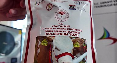 Uşak'ta Türkiye'nin ilk dondurarak kurutma kolostrom tesisi kuruldu... Hayvancılıkta yenilikçi adım hayata geçti