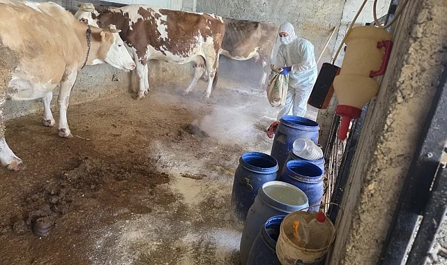 Adıyaman'da zoonoz hastalıklara karşı aşılama sürüyor