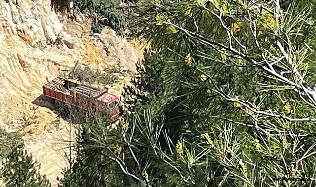 Ağaç Kesimi İddiaları Bölgeyi Gerdi