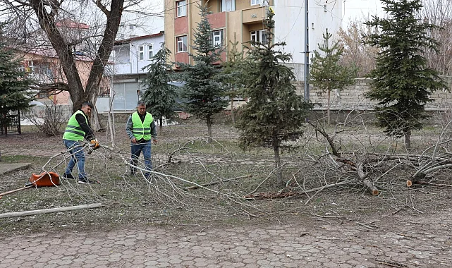 Ağrı'da park ve yeşil alanlarda yenileme çalışmaları