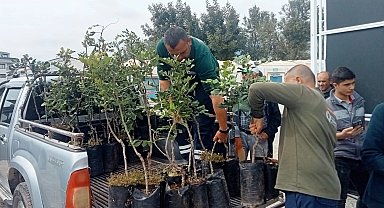 Alanya'nın coğrafi işaretli keçiboynuzuna destek