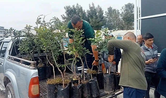 Alanya'nın coğrafi işaretli keçiboynuzuna destek