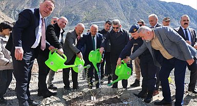 Artvin'de Butko zeytini üretimi yaygınlaşıyor