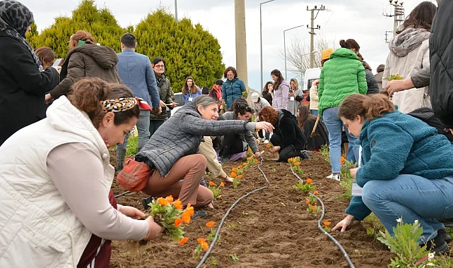 Balıkesir Büyükşehir'den tıbbı ve aromatik bitkiler yetiştiriciliği kursu