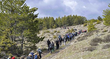 Başkentliler Şahinler Tabiat Parkı'nda doğayla buluştu