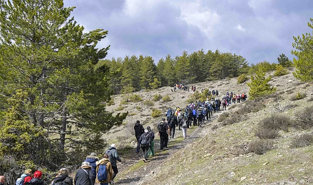 Başkentliler Şahinler Tabiat Parkı'nda doğayla buluştu