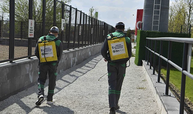 Başkent'te haşereyle etkin mücadele