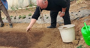 Bilecik Pazaryeri'nde tütün geçim kapısı oluyor