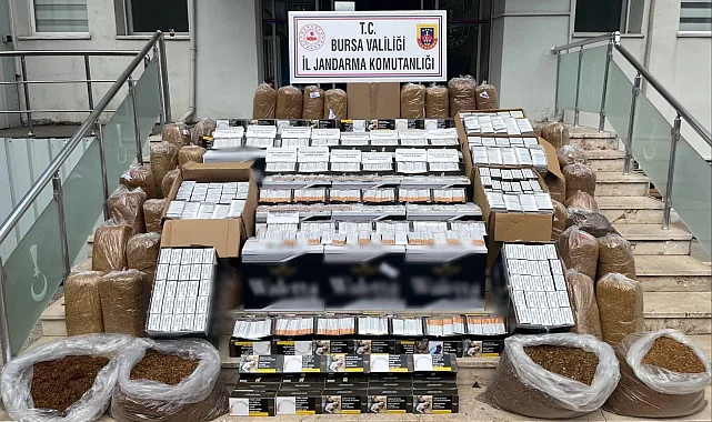 Bursa Gemlik'te kaçak tütün operasyonu