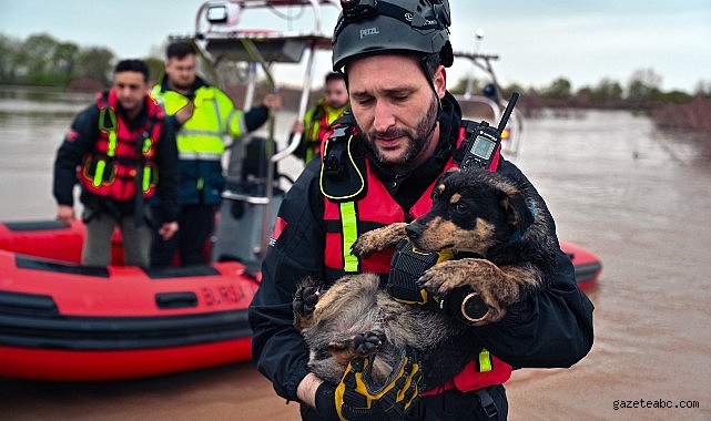 Can Dostlar “Cesur” ve “Zeytin” Güvende