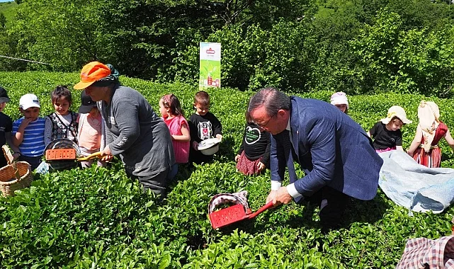 Çay İşletmeleri'ne personel atamalarında 40 yaş şartı aranmayacak