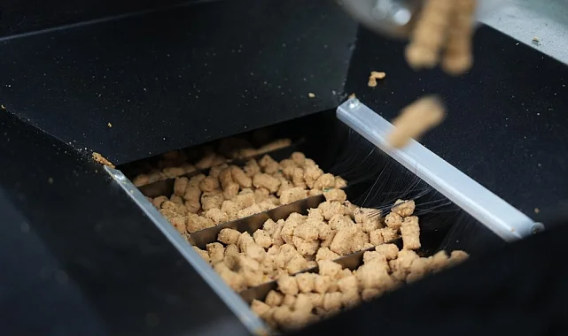 Eskişehir'de atık yemekler mama oluyor