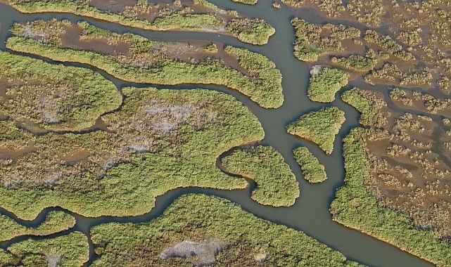 Gediz Havzası'nda kirlilik artıyor!
