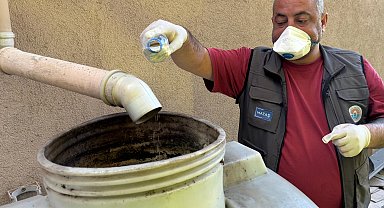İstanbul Maltepe'de sivrisinek mücadelesi erken başladı