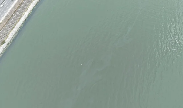 İzmir Körfezi'nde kirlilik endişelendiriyor! Aynı tehdit 11. kez görüldü