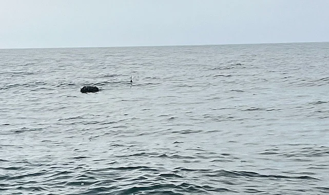 Karadeniz'deki şüpheli mayın SAS timlerince imha edildi!