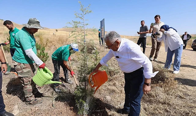 Kayseri Büyükşehir'den kente 'yeşil' atılım
