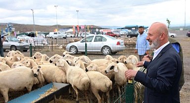 Kayseri Kocasinan'dan Türkiye'ye örnek 'kurban' ihalesi