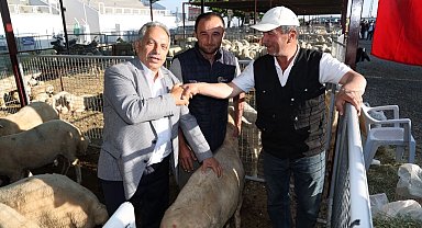 Kayseri Talas'ta kurban satış yeri belirlendi