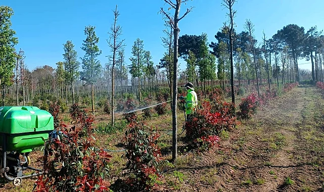 Kocaeli'de fidanlara koruyucu müdahale