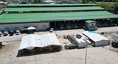 Kurban Bayramı öncesi İzmit'te alanlar tahsis ediliyor