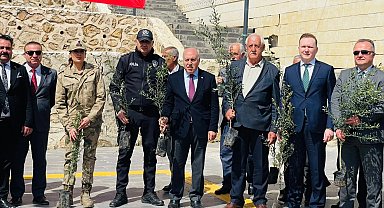 Mardin Yeşilli'de tarihi rekor! 102 bin meyveli fidan dağıtıldı