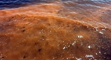 Marmara’da Şaşırtan Görüntü: 