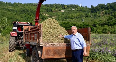 Ordu'da atıl arazi tarıma kazandırıldı