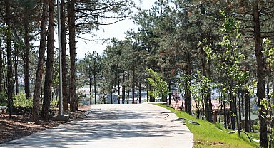 Pelitli Bayraktepe Mesire Alanı'nda çalışmalar tam gaz