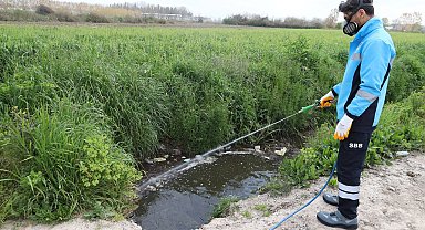 Sakarya ekipler zararlı vektörle mücadeleyi sürdürüyor