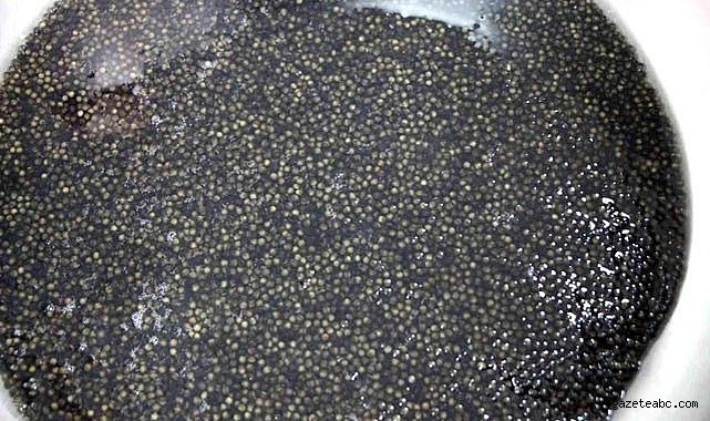 Siyah İnci Karadeniz’le Buluşuyor