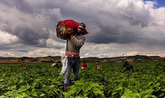Yenişehir Tarım ve Sanayiyle Büyüyor