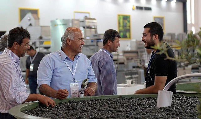 Zeytinin zirvesi İzmir'de kuruluyor