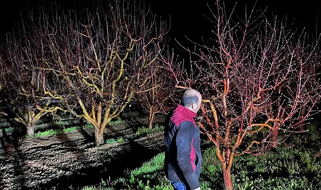 Zirai don alarmı! Ekipler sahada